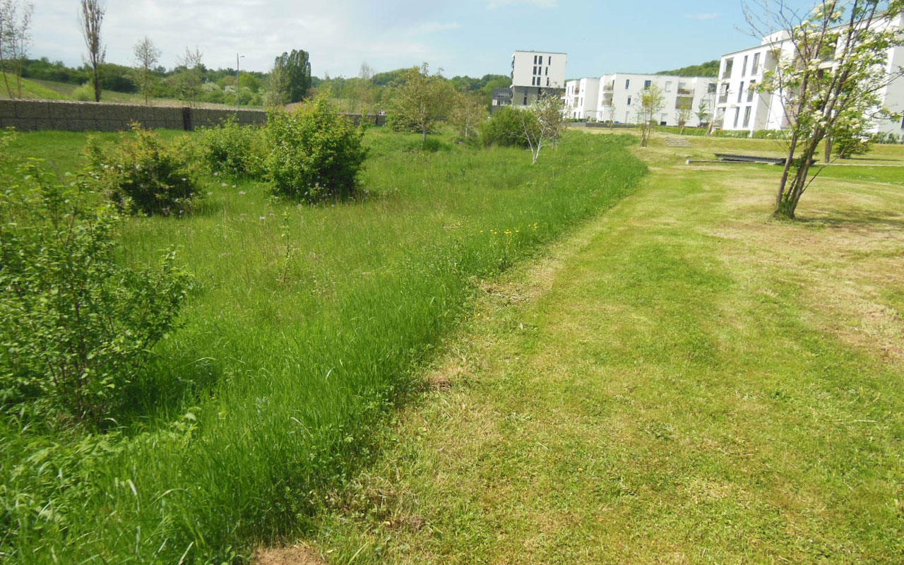 Belval Nord Luxembourg