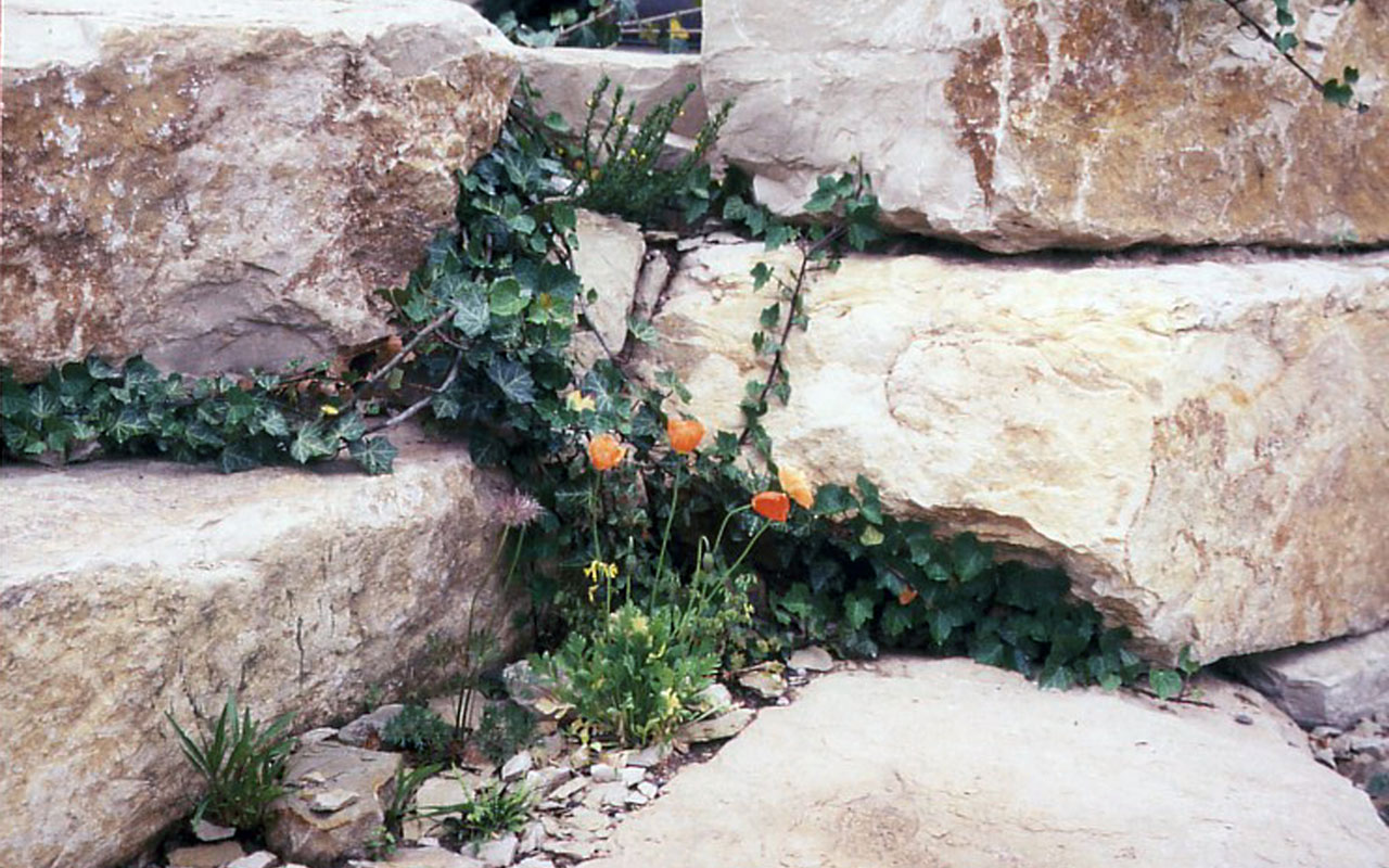 Hausgarten 