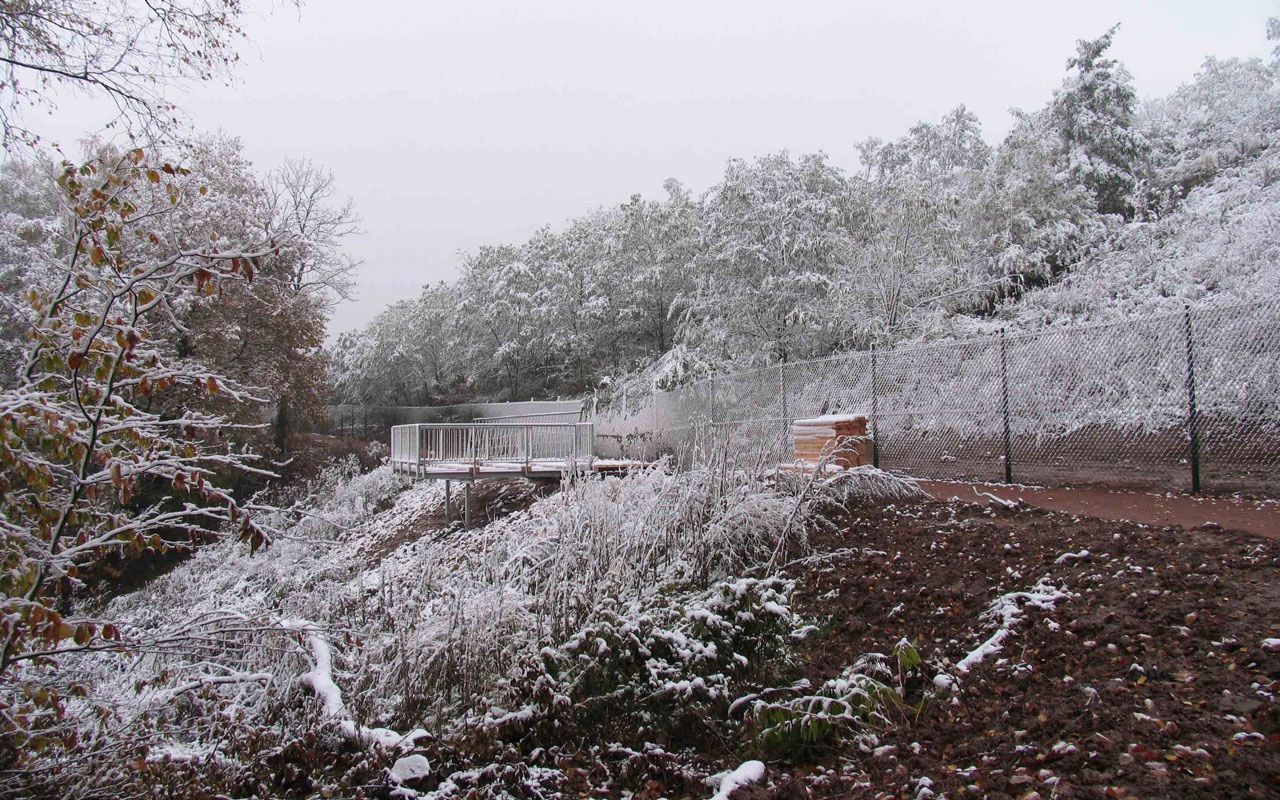 Holzdeck Frommersbach