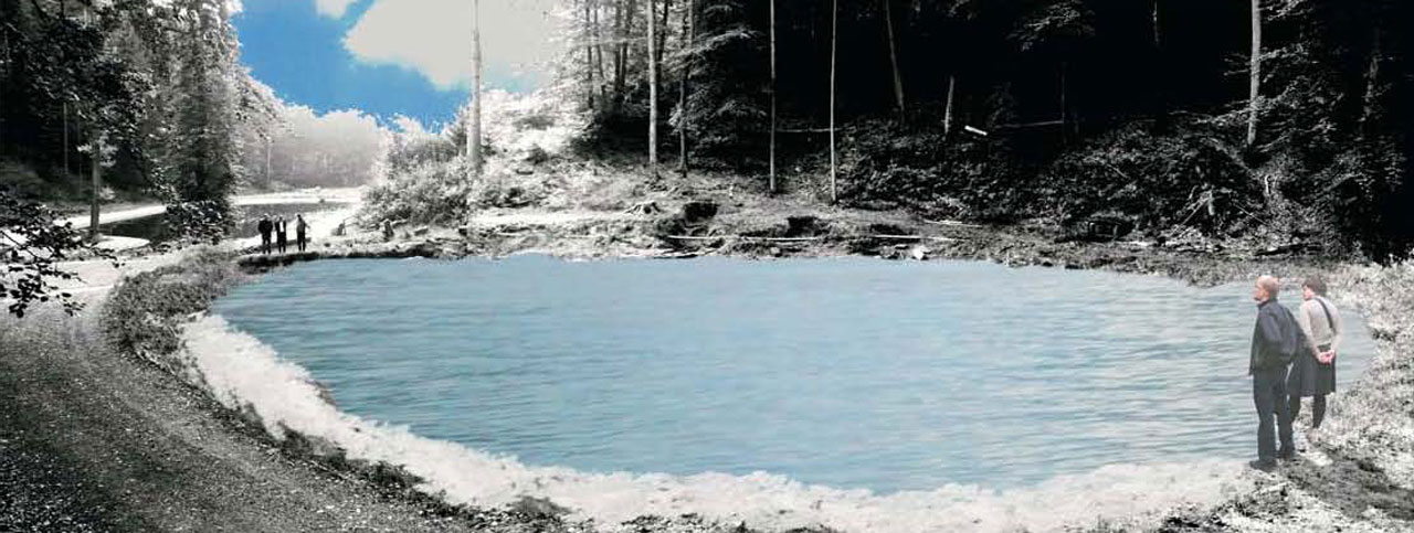 Tosbecken Waldpark Schloss Karlsberg